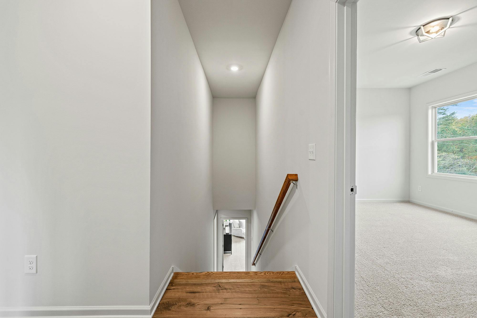 longleaf-gallery (7)