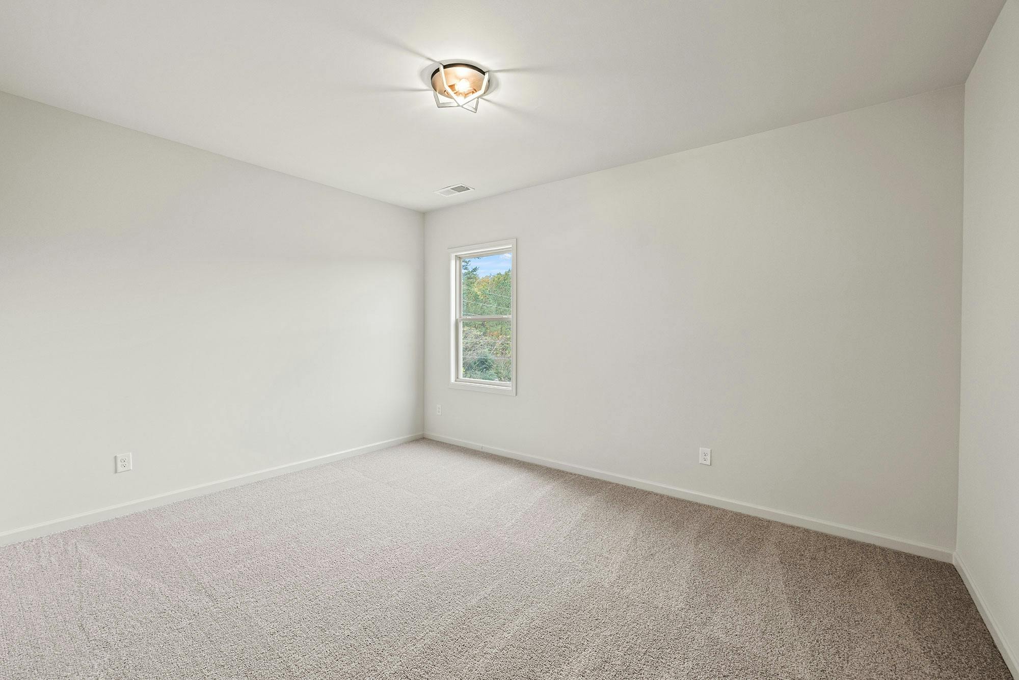 longleaf-gallery (9)